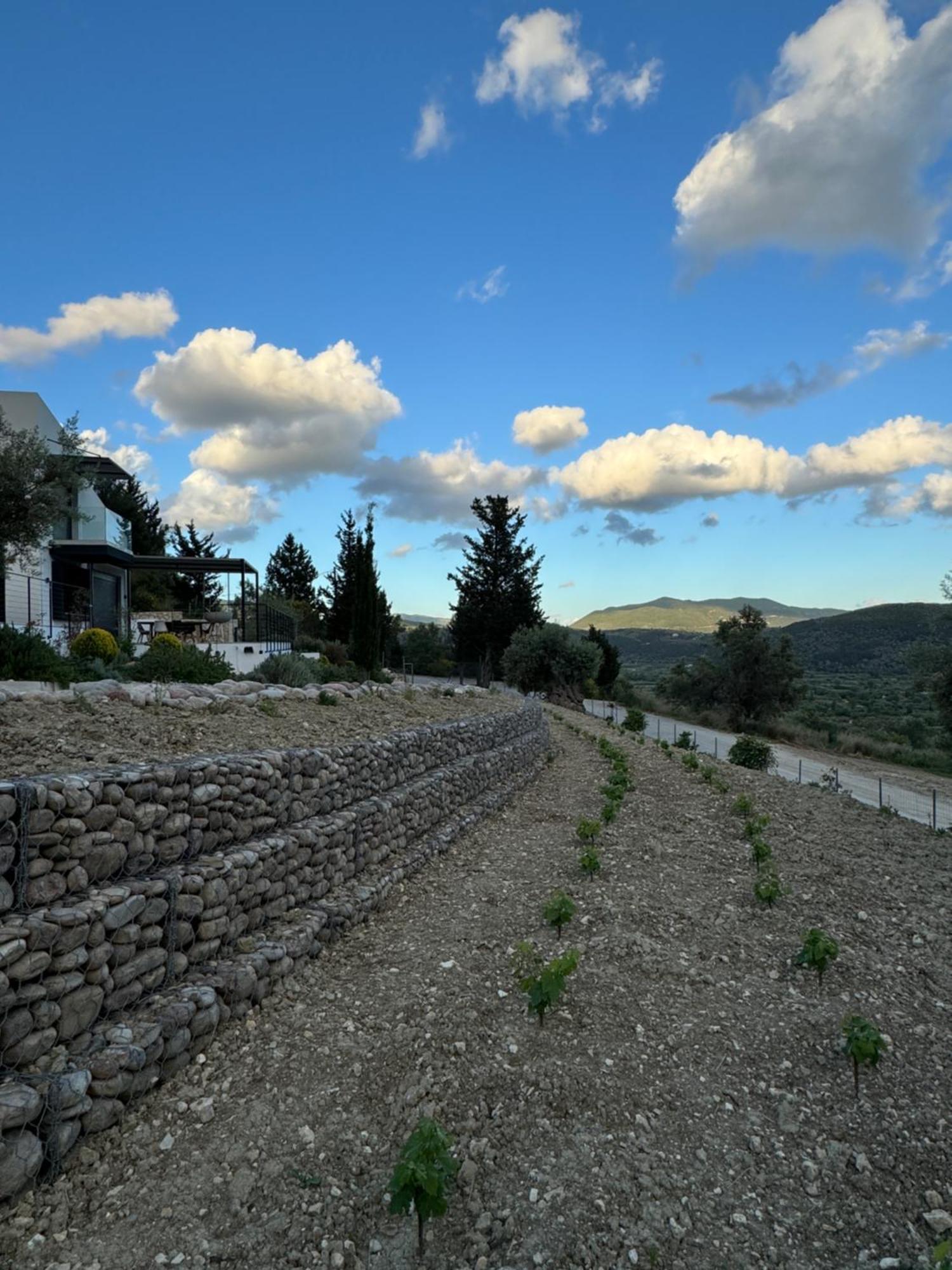 Vasiliki Houses Vasilikí Exterior foto